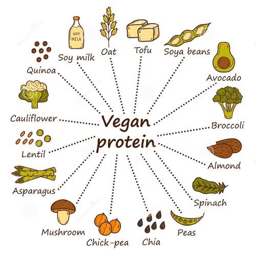 Comment est faite la nourriture végétarienne (3)