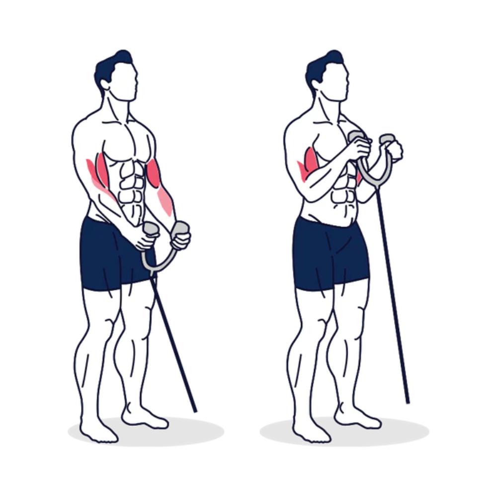 9 exercices pour maigrir des bras que vous pouvez faire à la maison ou en salle de sport 3